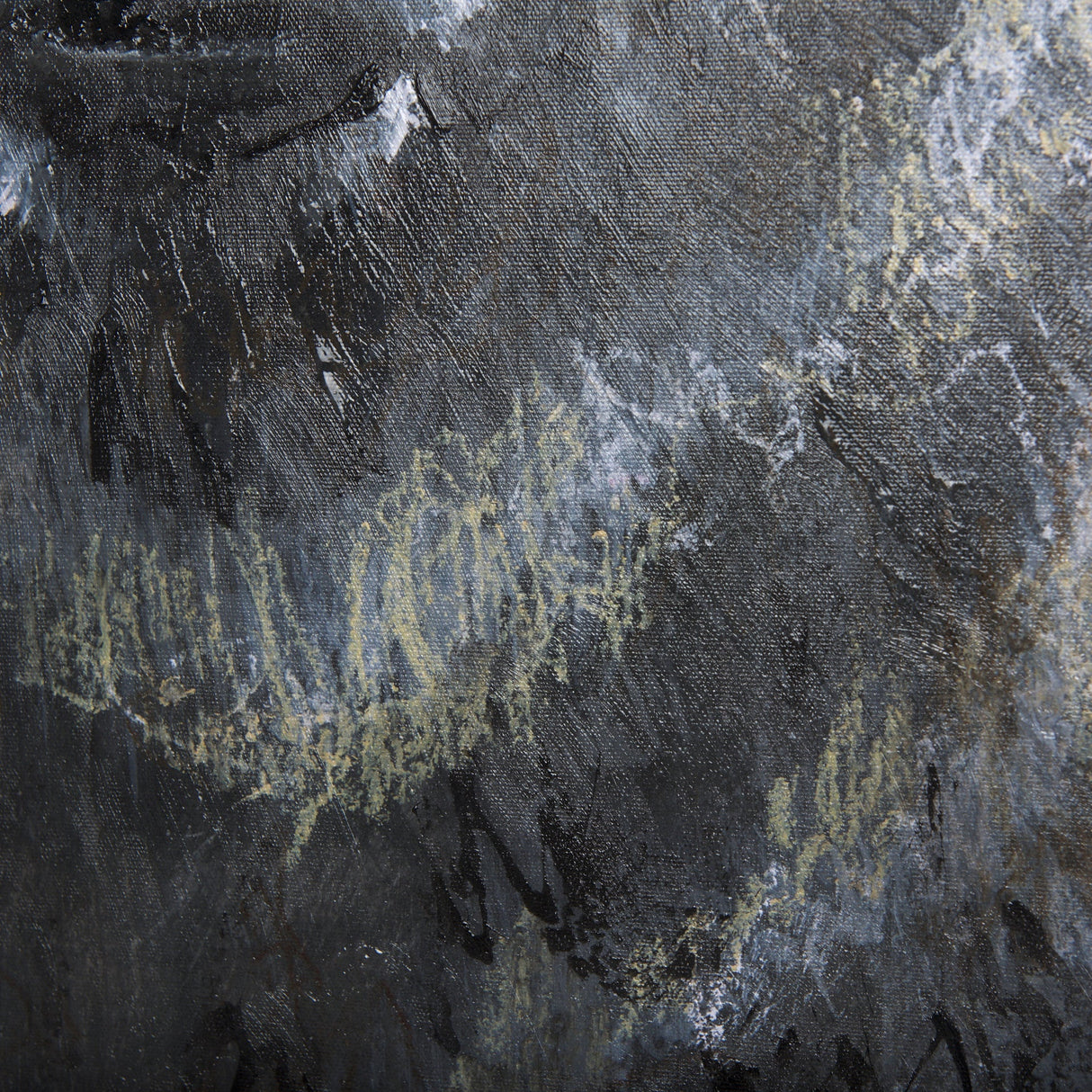Animal Portrait III by Mercana Studio a Hand Embellished Textured Canvas by Mercana at Eve Furniture