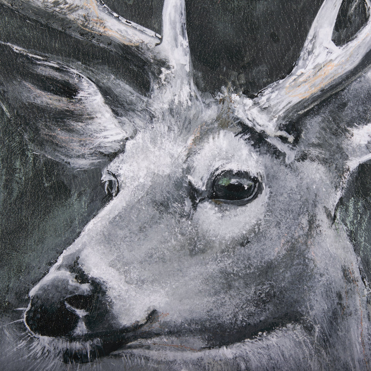 Animal Portrait IV (Deer) by Mercana Studio Hand Embellished Framed Art Print Matted under Glass by Mercana at Eve Furniture