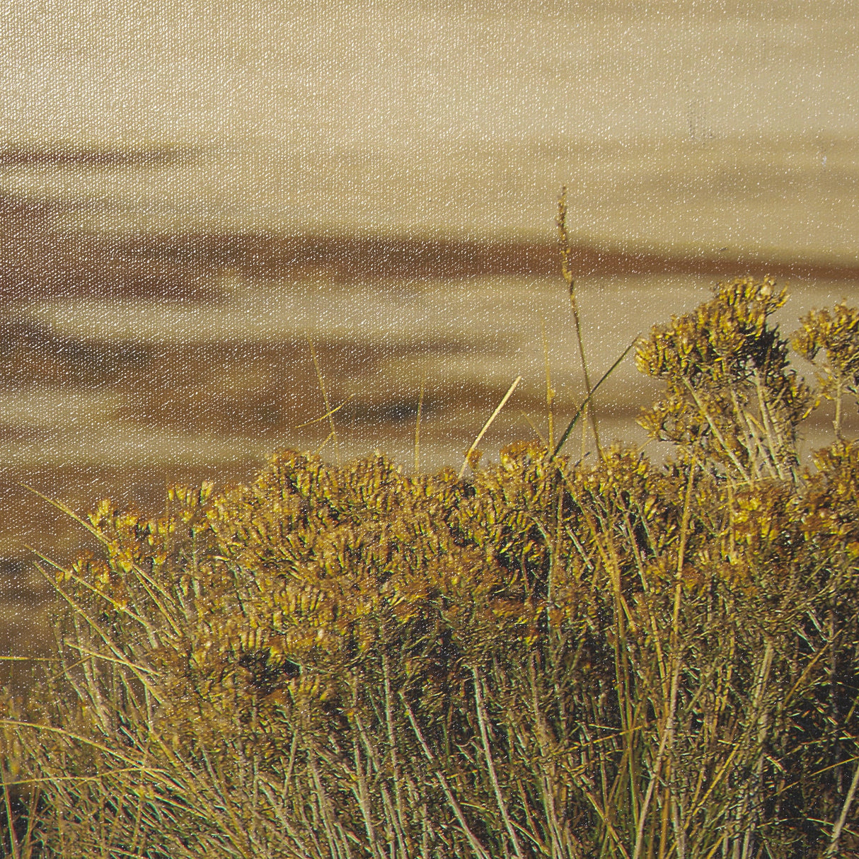 Antelope Island by Gary Blatter a Hand Embellished Textured Framed Photo Art Print by Mercana at Eve Furniture