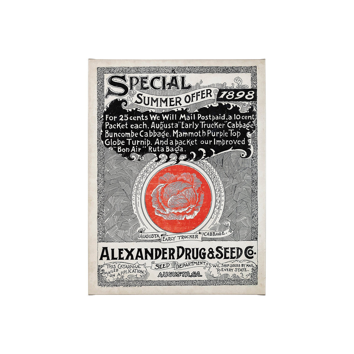 Antique Seed Packet XIIII by Mercana Studio a Hand Embellished Textured Canvas by Mercana at Eve Furniture