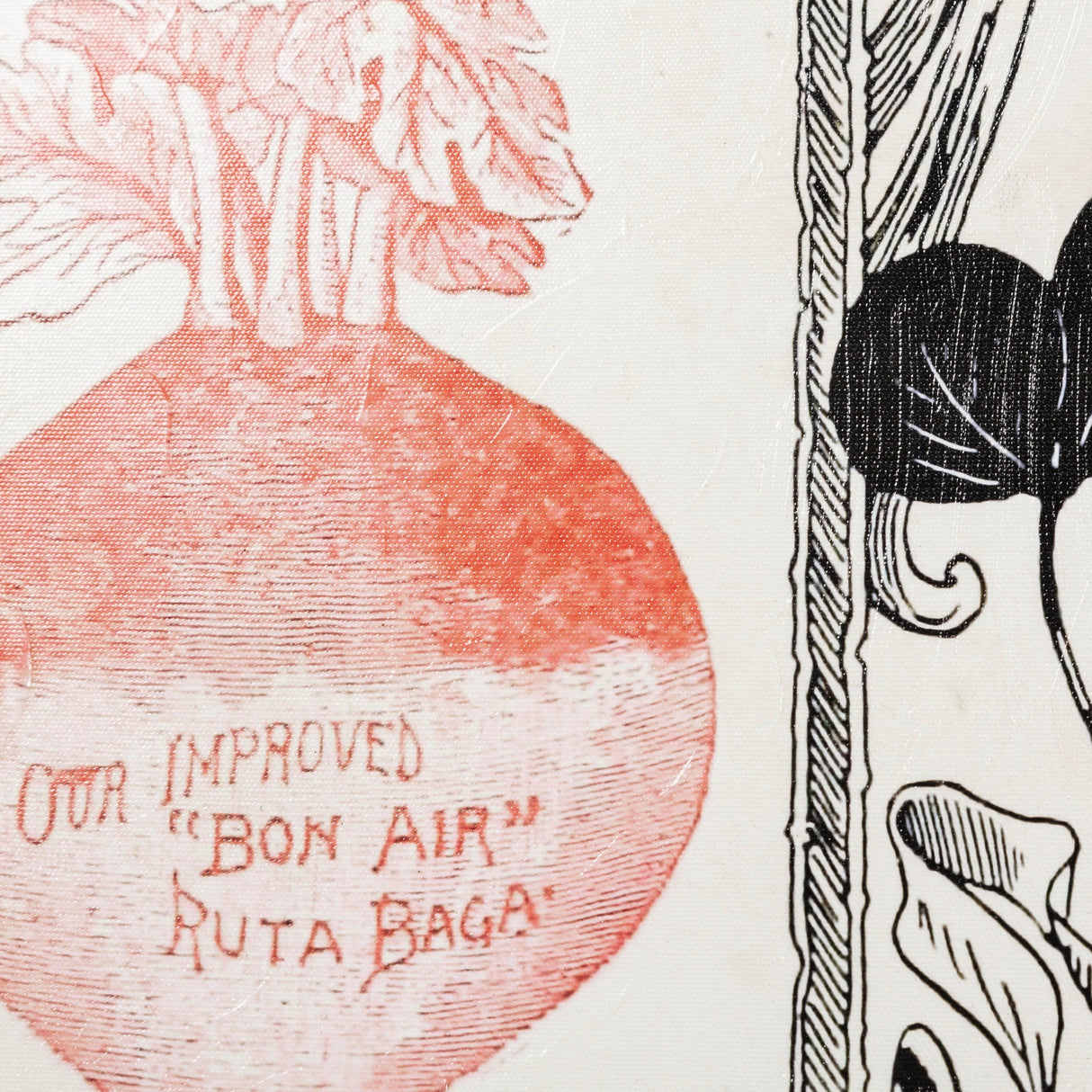 Antique Seed Packet XIV by Mercana Studio a Hand Embellished Textured Canvas by Mercana at Eve Furniture