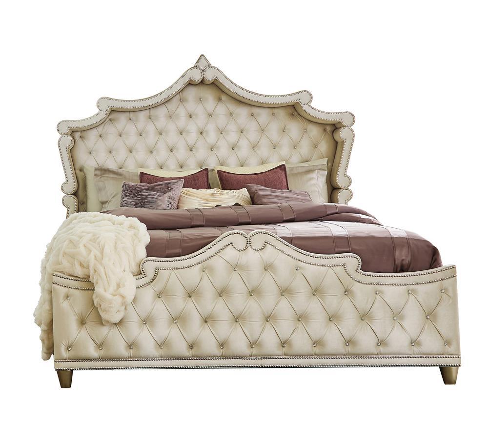 Antonella Ivory and Camel Tufted Upholstered Queen Bed by Coaster at Eve Furniture