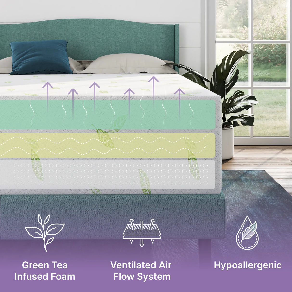 Anula Green Tea Infused Memory Foam Mattress by NapQueen at Eve Furniture
