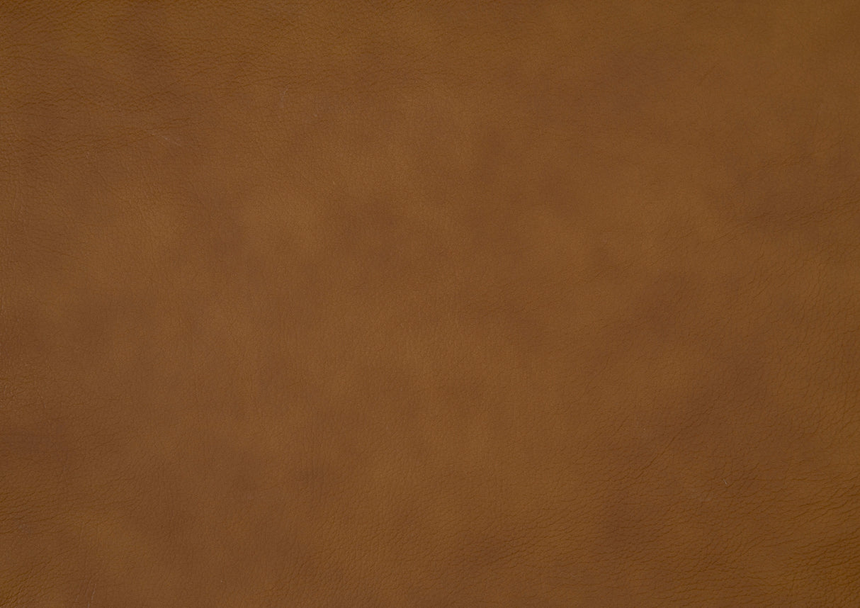 Apex Brown Power Reclining Living Room Set by Homelegance at Eve Furniture