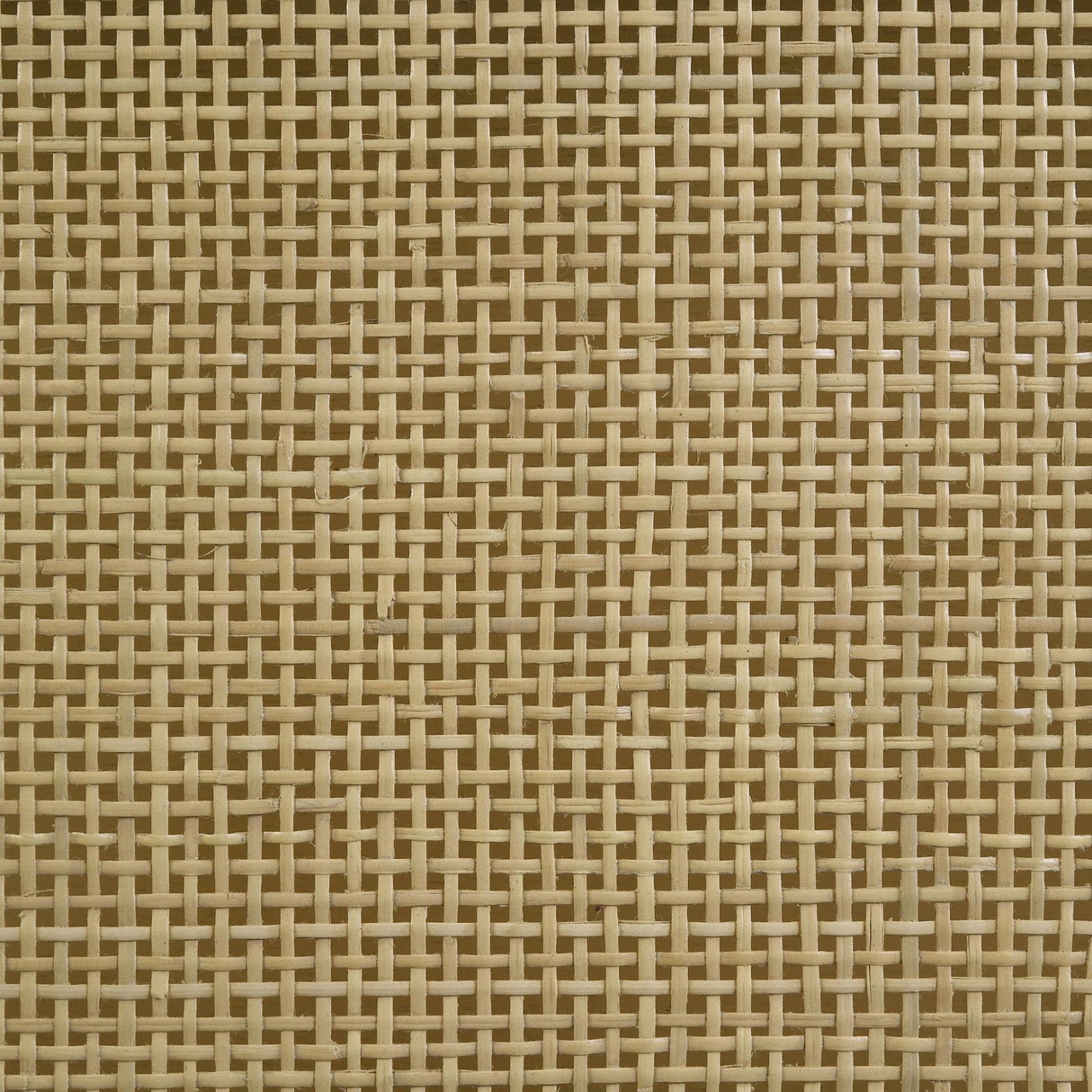 Arini Black and Natural Queen Bed with Woven Rattan Headboard by Coaster at Eve Furniture