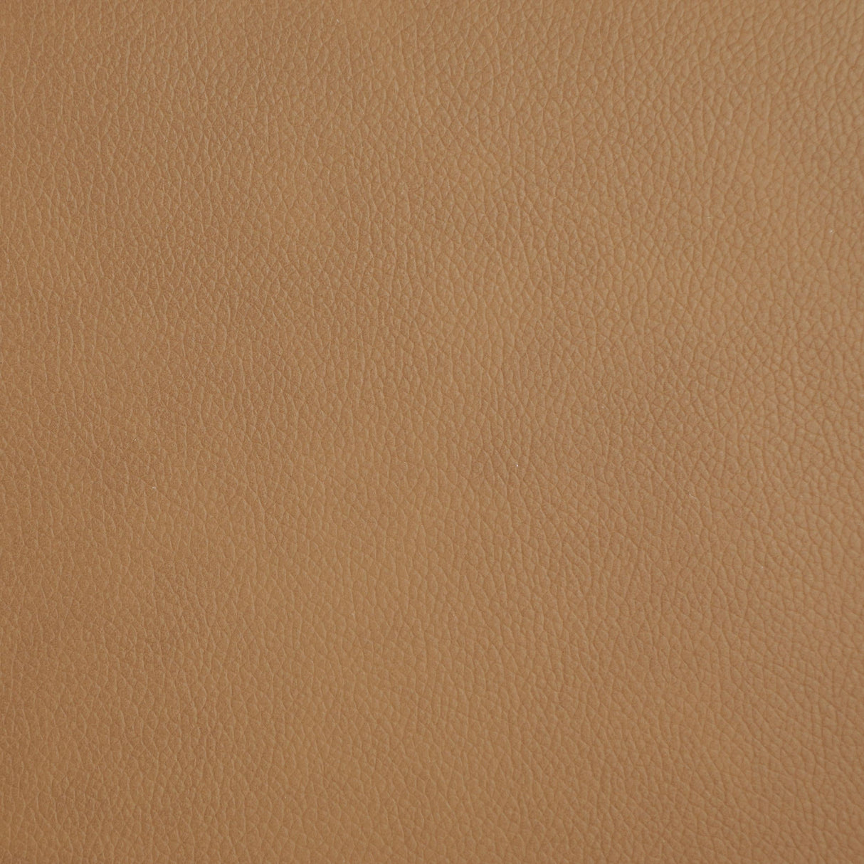 Armstrong Camel Upholstered Power Lift Massage Recliner by Coaster at Eve Furniture