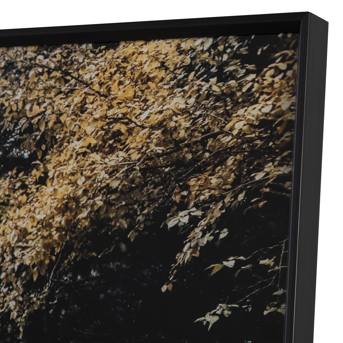 Autumn Tracks Brown/Green Wall Art by Crestview at Eve Furniture