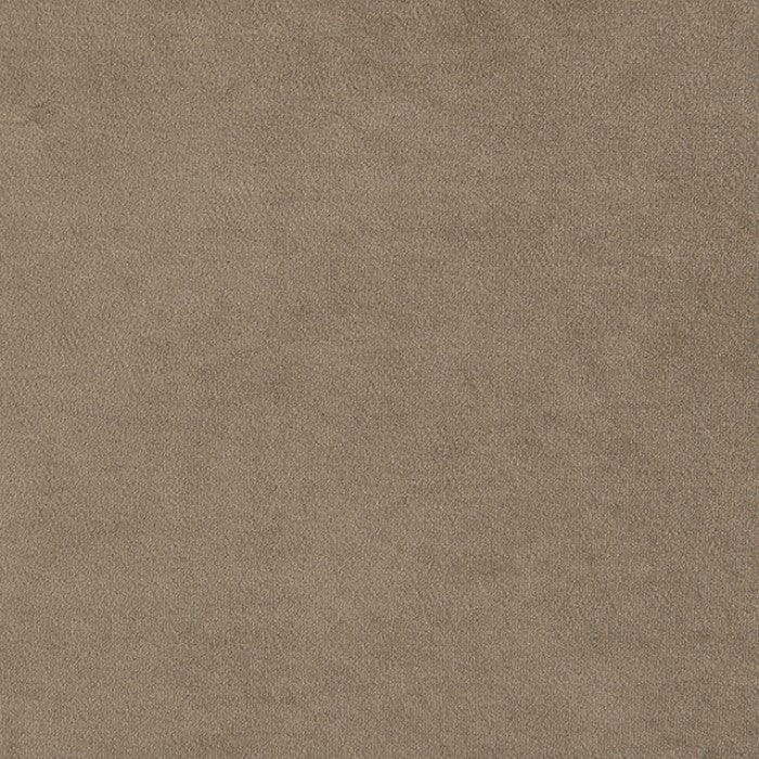 Avara Warm Mink Brown Loveseat by Furniture of America at Eve Furniture