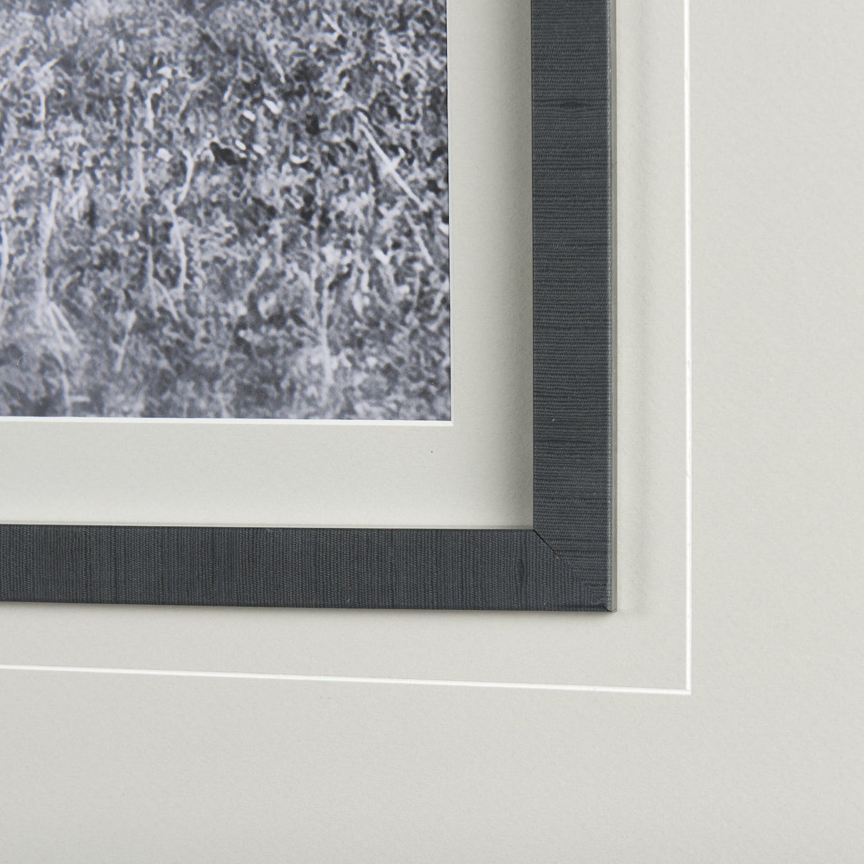 Babies on Board by Mercana Studio a Framed Photo Art Print Matted under Glass by Mercana at Eve Furniture