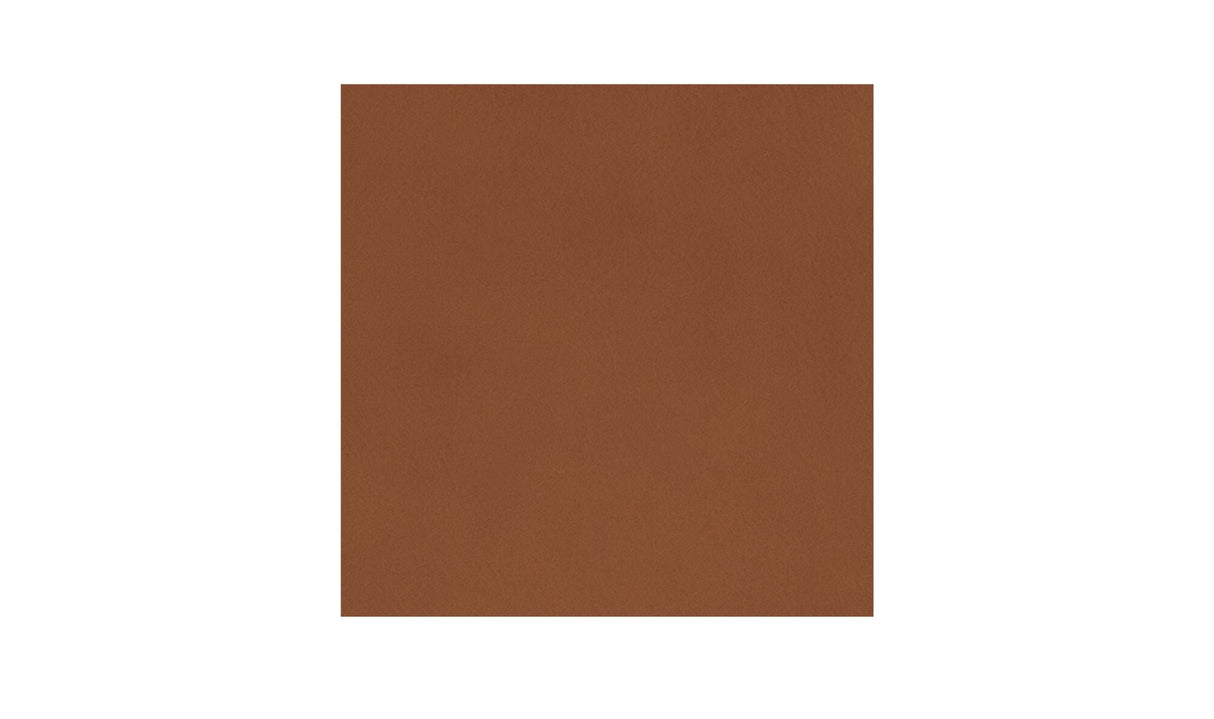 Baker Accent Chair Brown by Moe's Home at Eve Furniture