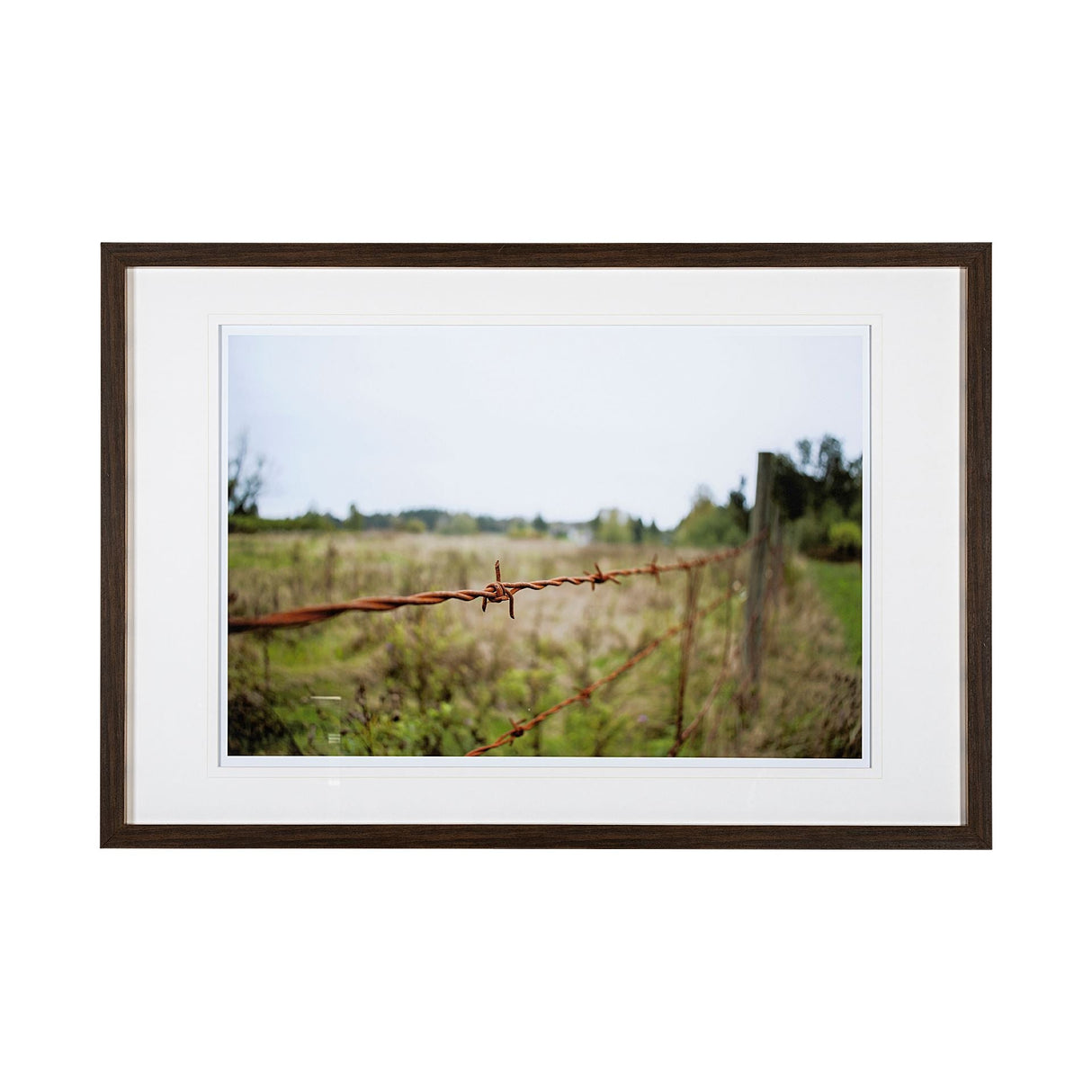Barbed Wire by Katelyn Mostert a Framed Photo Art Print Matted under Glass by Mercana at Eve Furniture