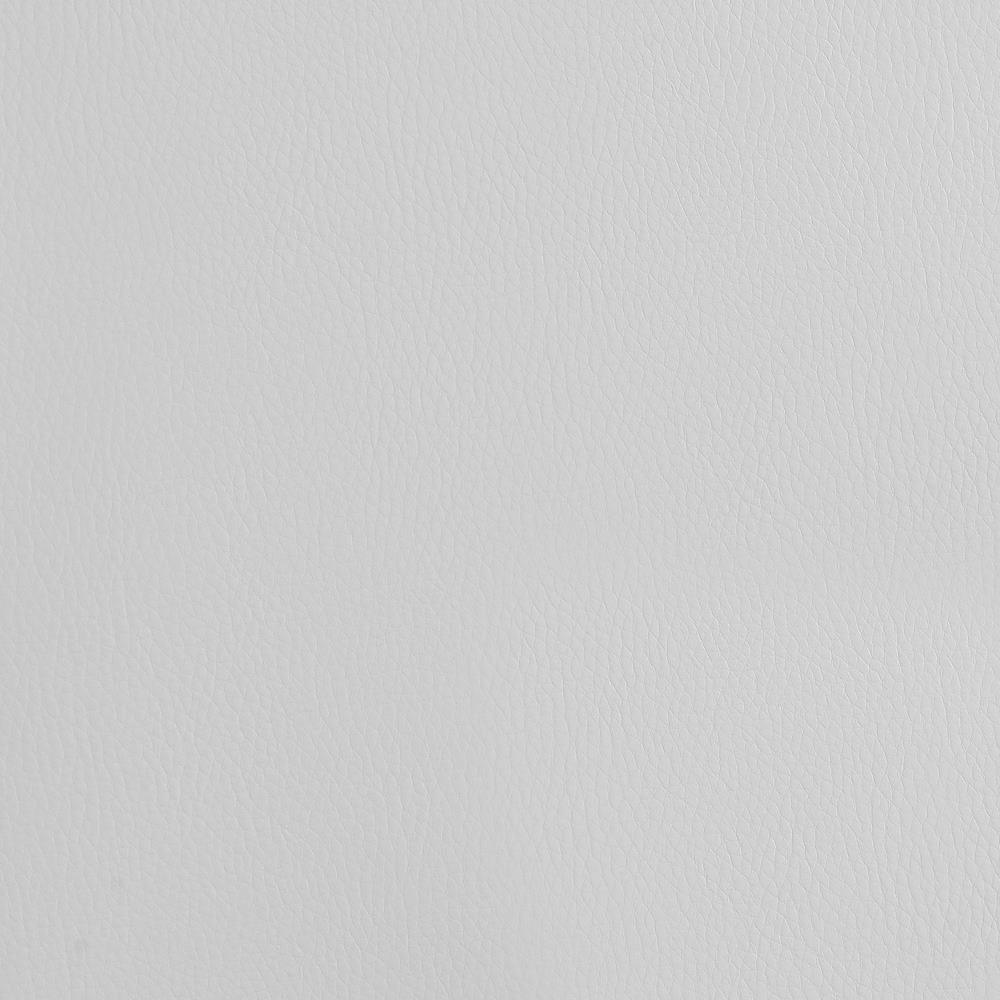 Barraza White/Chrome 29" Adjustable Height Bar Stool by Coaster at Eve Furniture