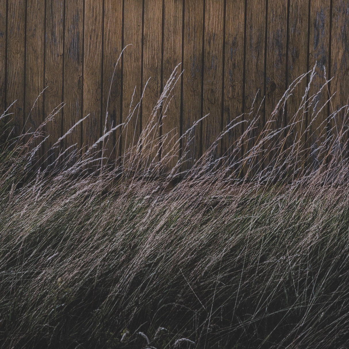 Beach Hut by Lotte Gronkjaer FramedPhoto Print Matted under Glass by Mercana at Eve Furniture