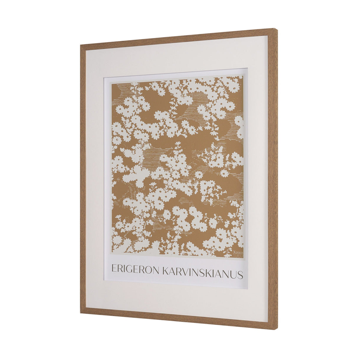 Belleza En Flores II by Mercana Studio a Framed Art Print Matted under Glass by Mercana at Eve Furniture
