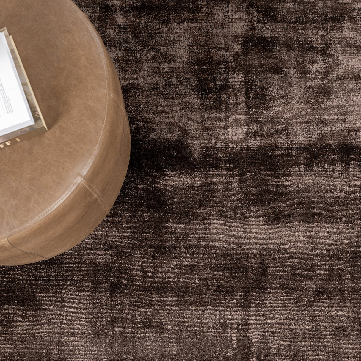 Berlin Ganache Brown Distressed Rug by Classic Home at Eve Furniture