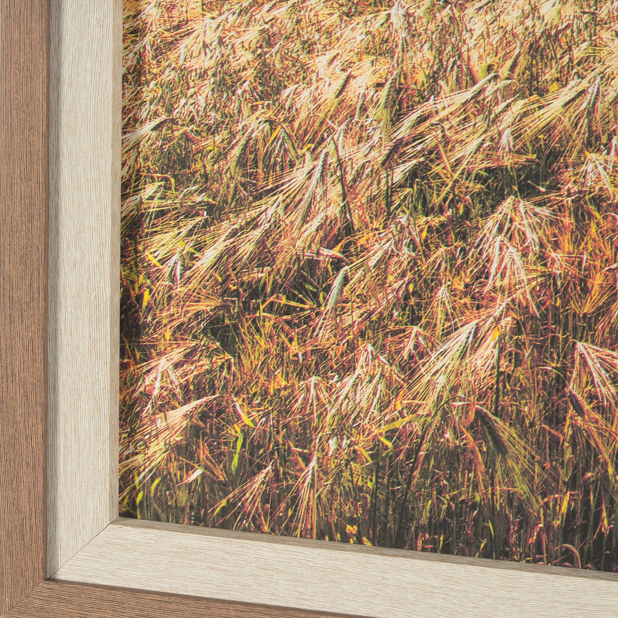 Between The Fields by Matt Roseveare a Hand Embellished Textured Framed Photo Art Print Matted under by Mercana at Eve Furniture