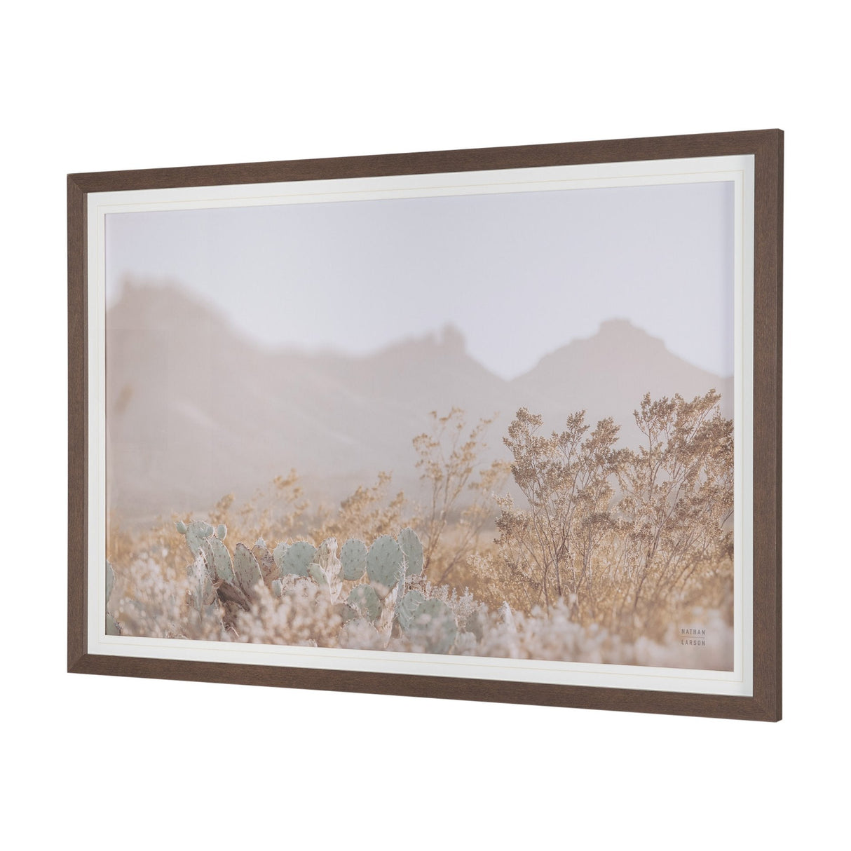 Big Bend National Park by Nathan Larson FramedPhoto Print Matted Under Glass by Mercana at Eve Furniture
