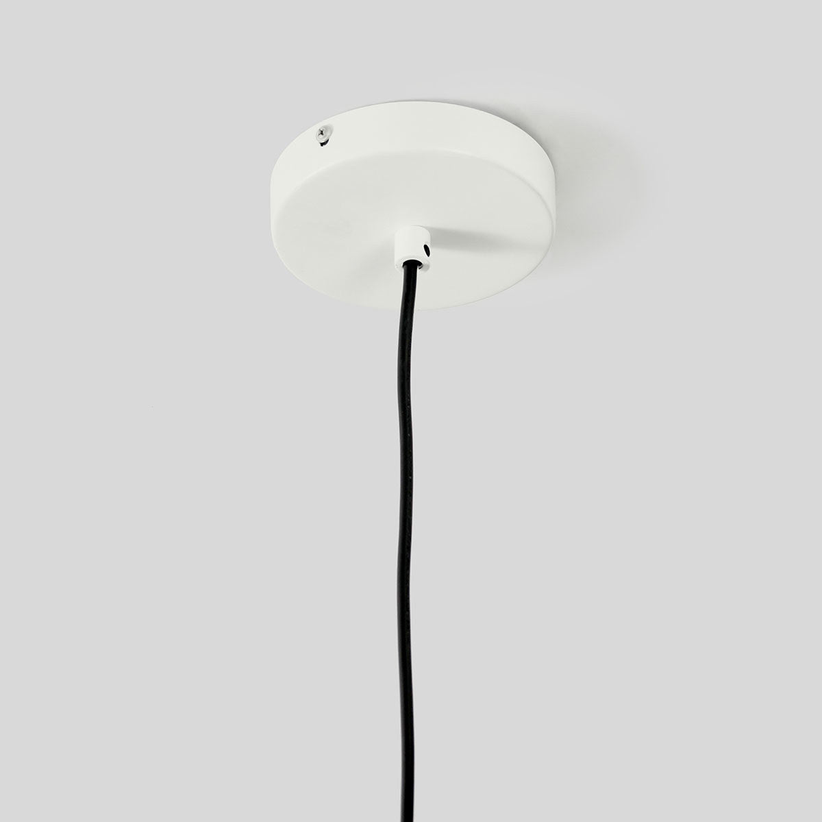 Bimini Pendant by Classic Home at Eve Furniture