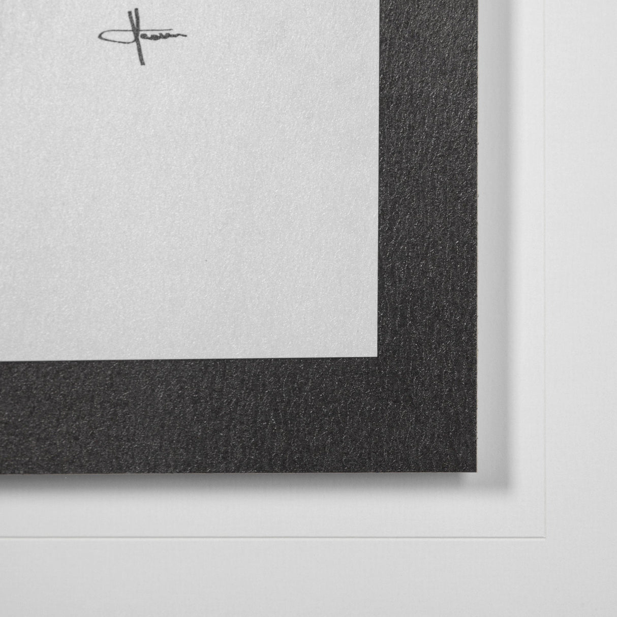 Bison I by Mercana Studio a Hand Embellished Textured Framed Art Print Matted under Glass by Mercana at Eve Furniture