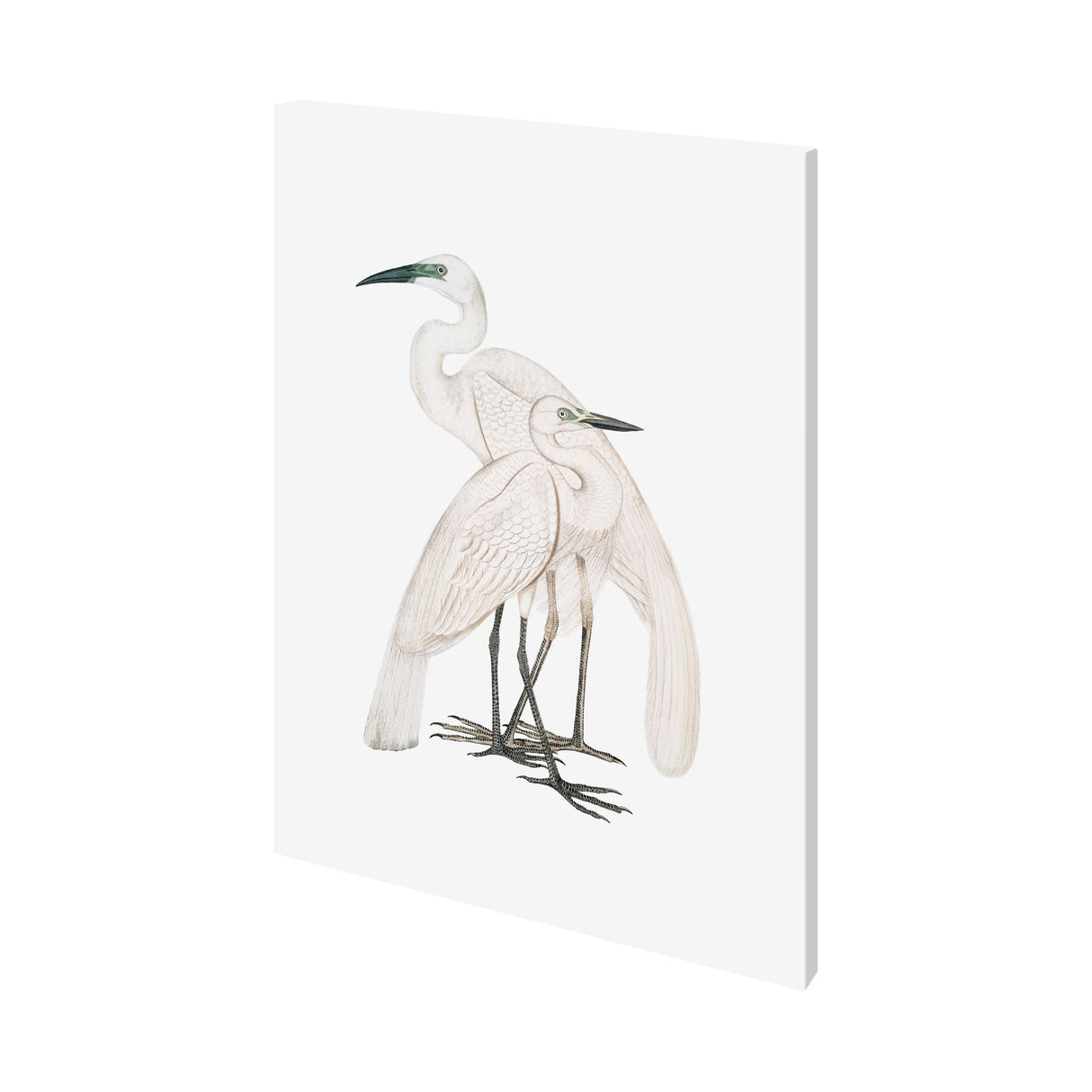 Black Billed Heron by Maria Mendez a Hand Embellished Textured Canvas by Mercana at Eve Furniture