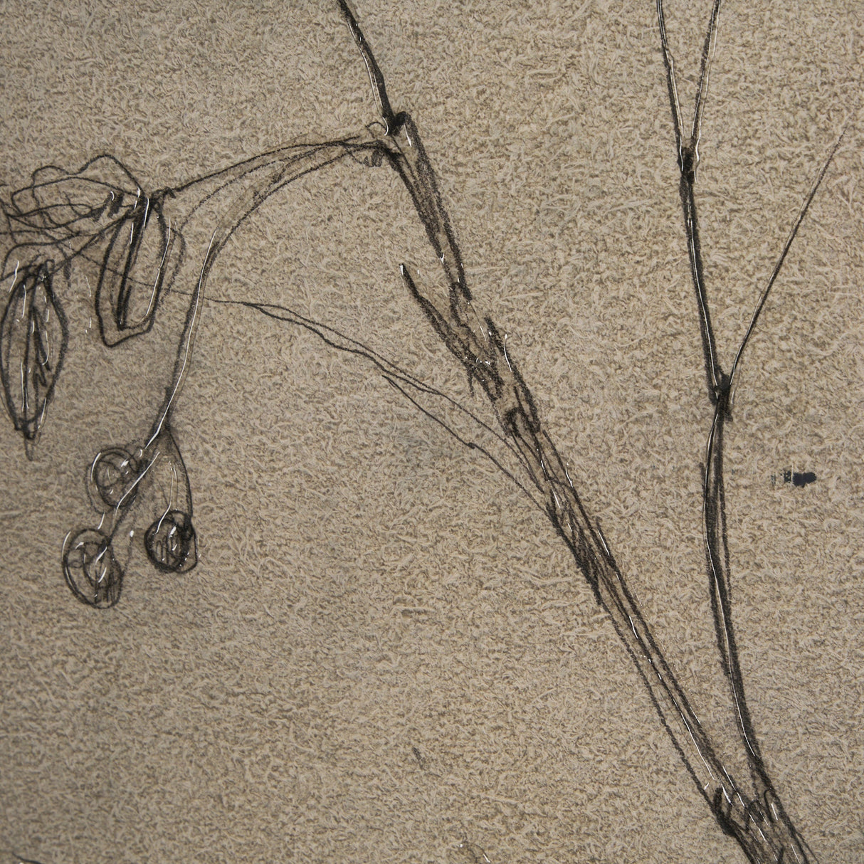 Black Chokecherry 1 by Mercana Studio a Hand Embellished Framed Art Print Matted under Glass by Mercana at Eve Furniture