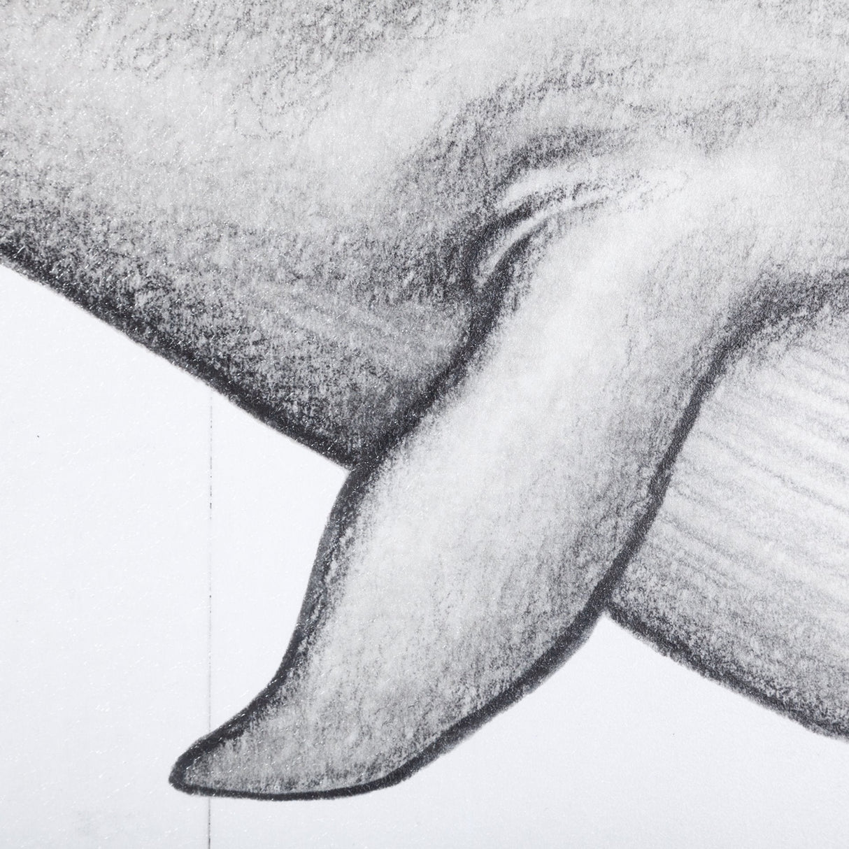 Blue Whale by Mercana Studio a Hand Embellished Textured Framed Art Print by Mercana at Eve Furniture
