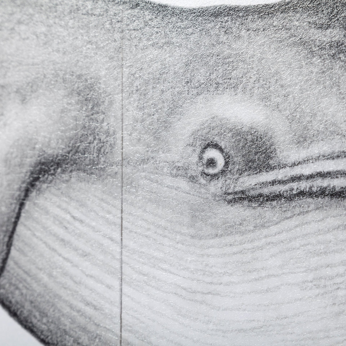 Blue Whale by Mercana Studio a Hand Embellished Textured Framed Art Print by Mercana at Eve Furniture