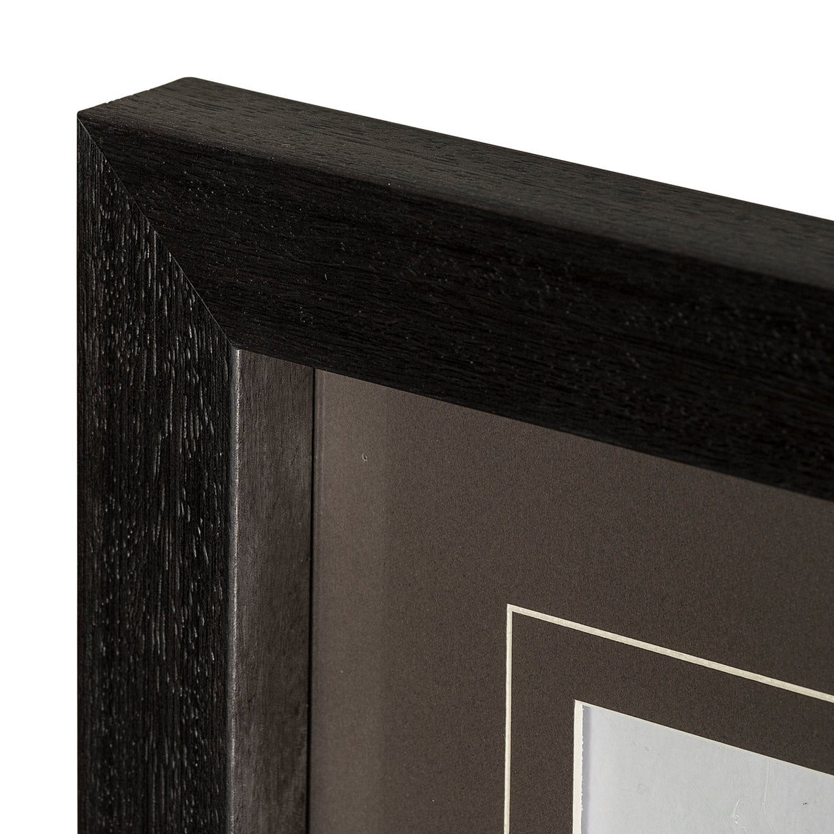 Boabab Tree I by Tiedge a Framed Art Print Matted under Glass by Mercana at Eve Furniture