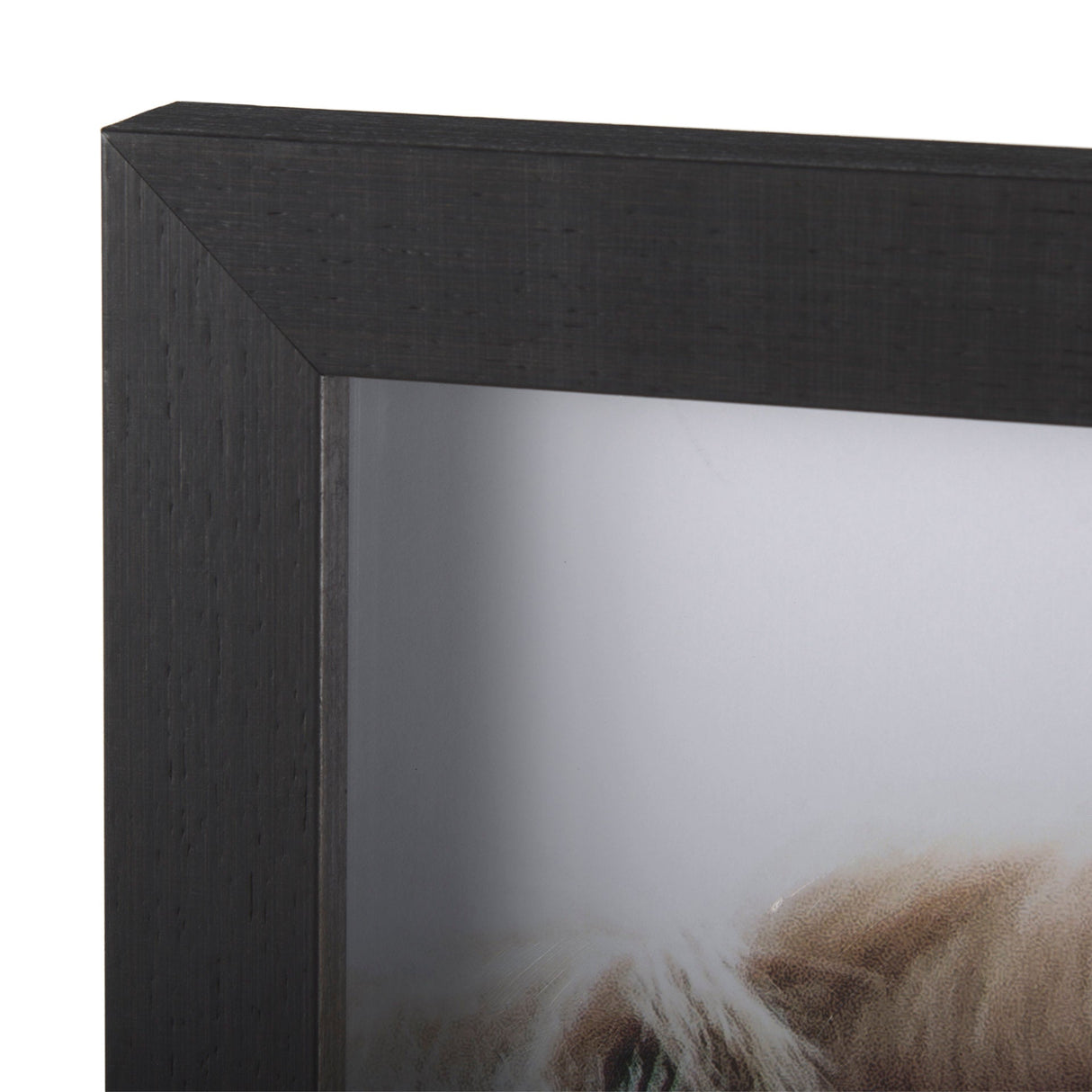 Bold Equine - Run by Mercana Studio a Hand Embellished Textured Framed Photo Art Print Matted under by Mercana at Eve Furniture