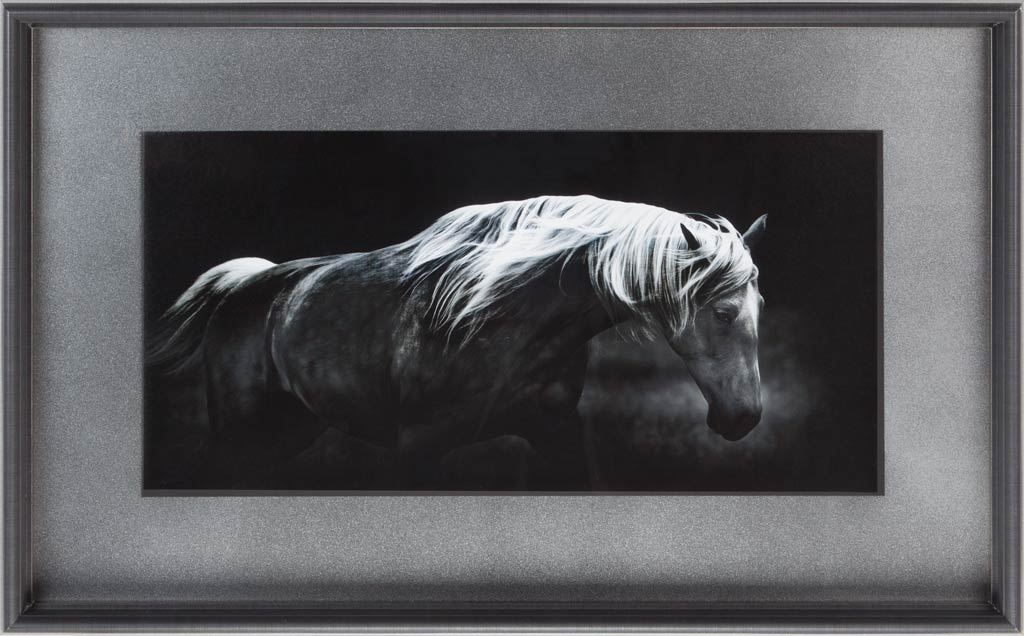 Bonnie Portrait by PHBurchett a Framed Photo Art Print Matted under Glass by Mercana at Eve Furniture