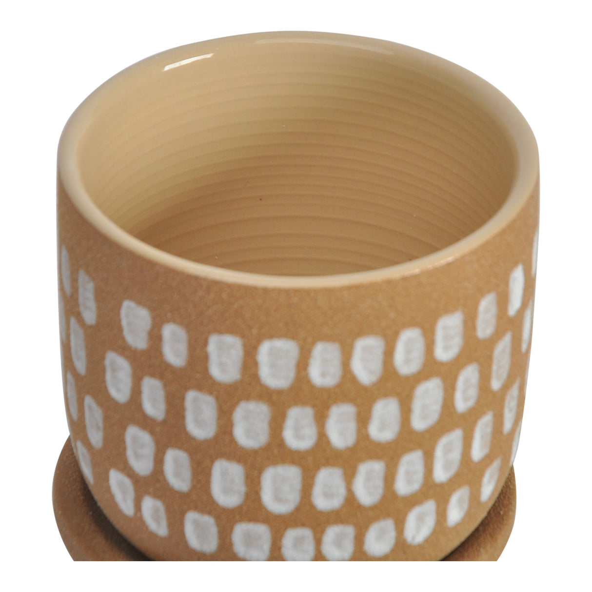 Botanical Natural Planter by MOES at Eve Furniture
