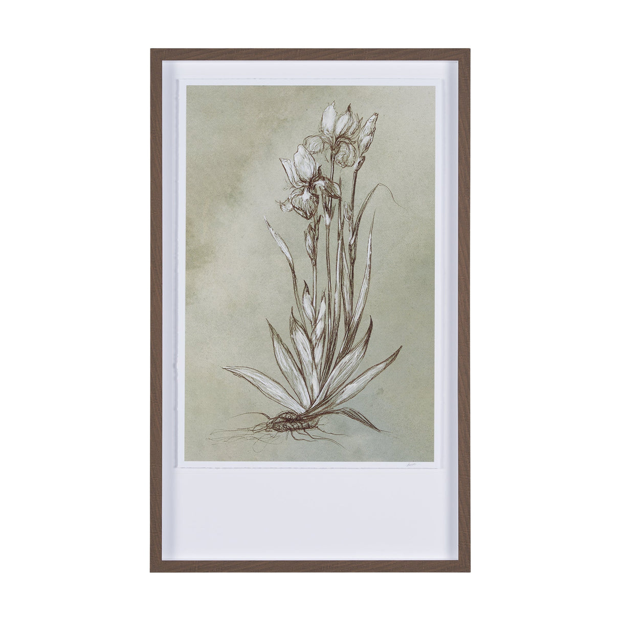 Botanical Sketch IV (green) by Mercana Studio Hand Embellished Framed Art Print Matted under Glass by Mercana at Eve Furniture