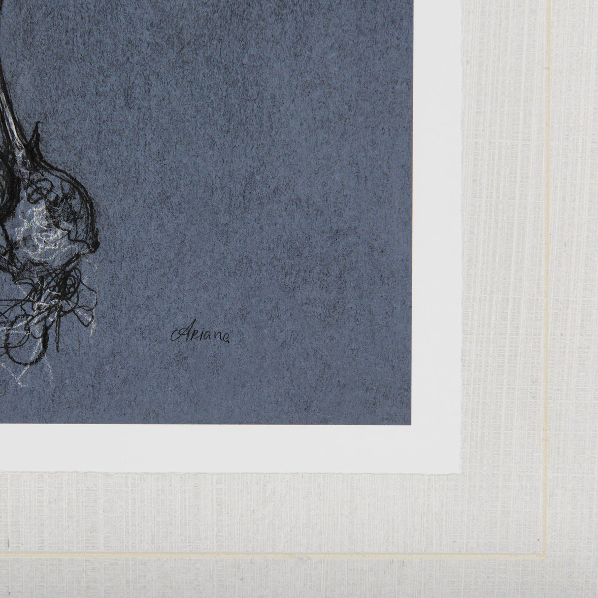 Botanical sketches I (Blue) by Mercana Studio Hand Embellished Framed Art Print Matted under Glass by Mercana at Eve Furniture