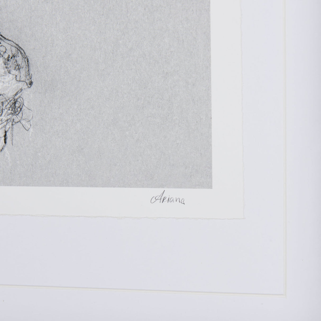 Botanical sketches I (Grey) by Mercana Studio Hand Embellished Framed Art Print Matted under Glass by Mercana at Eve Furniture