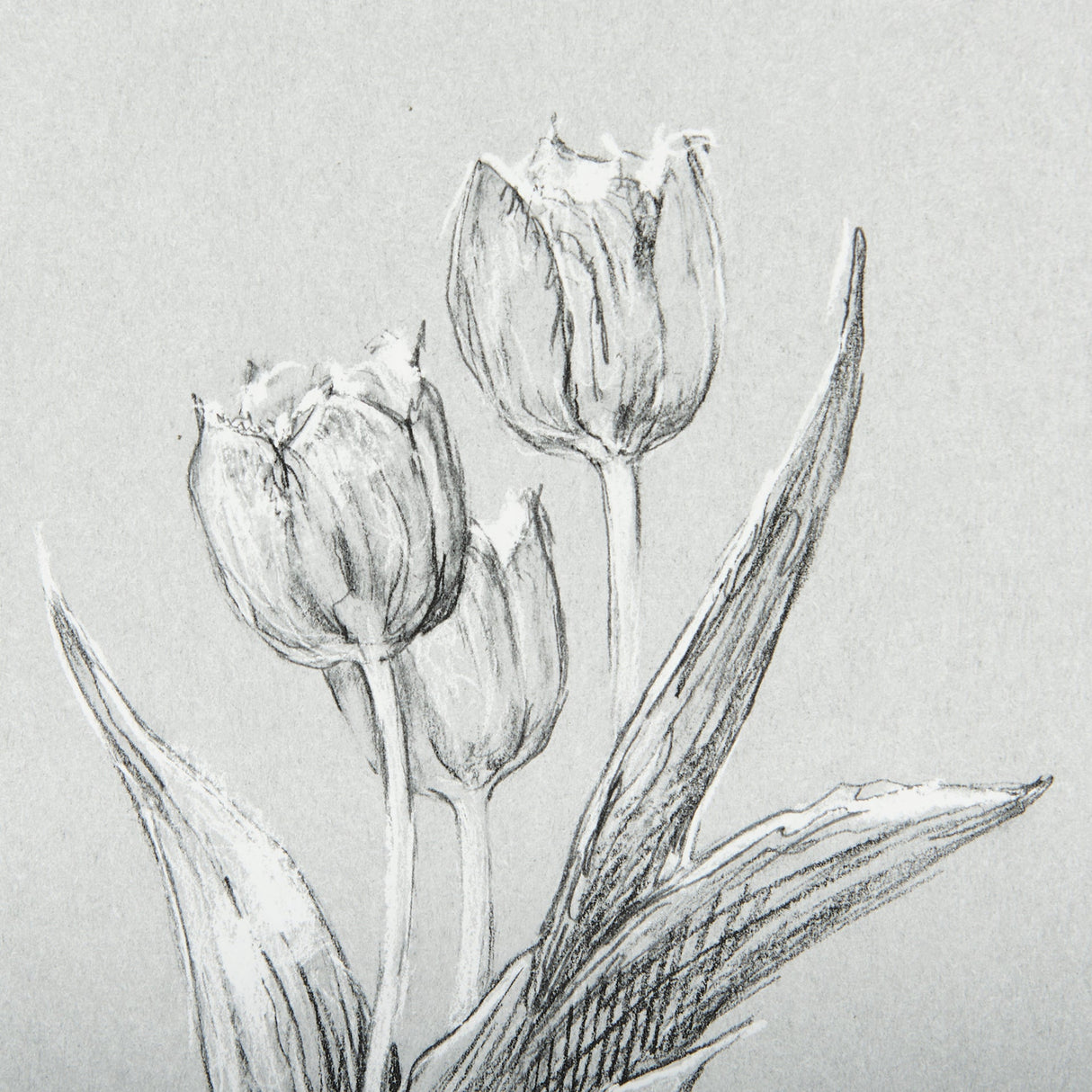 Botanical sketches I (Grey) by Mercana Studio Hand Embellished Framed Art Print Matted under Glass by Mercana at Eve Furniture