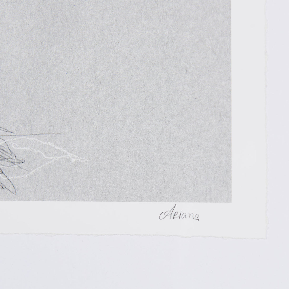 Botanical sketches II (Grey) by Mercana Studio Hand Embellished Framed Art Print Matted under Glass by Mercana at Eve Furniture
