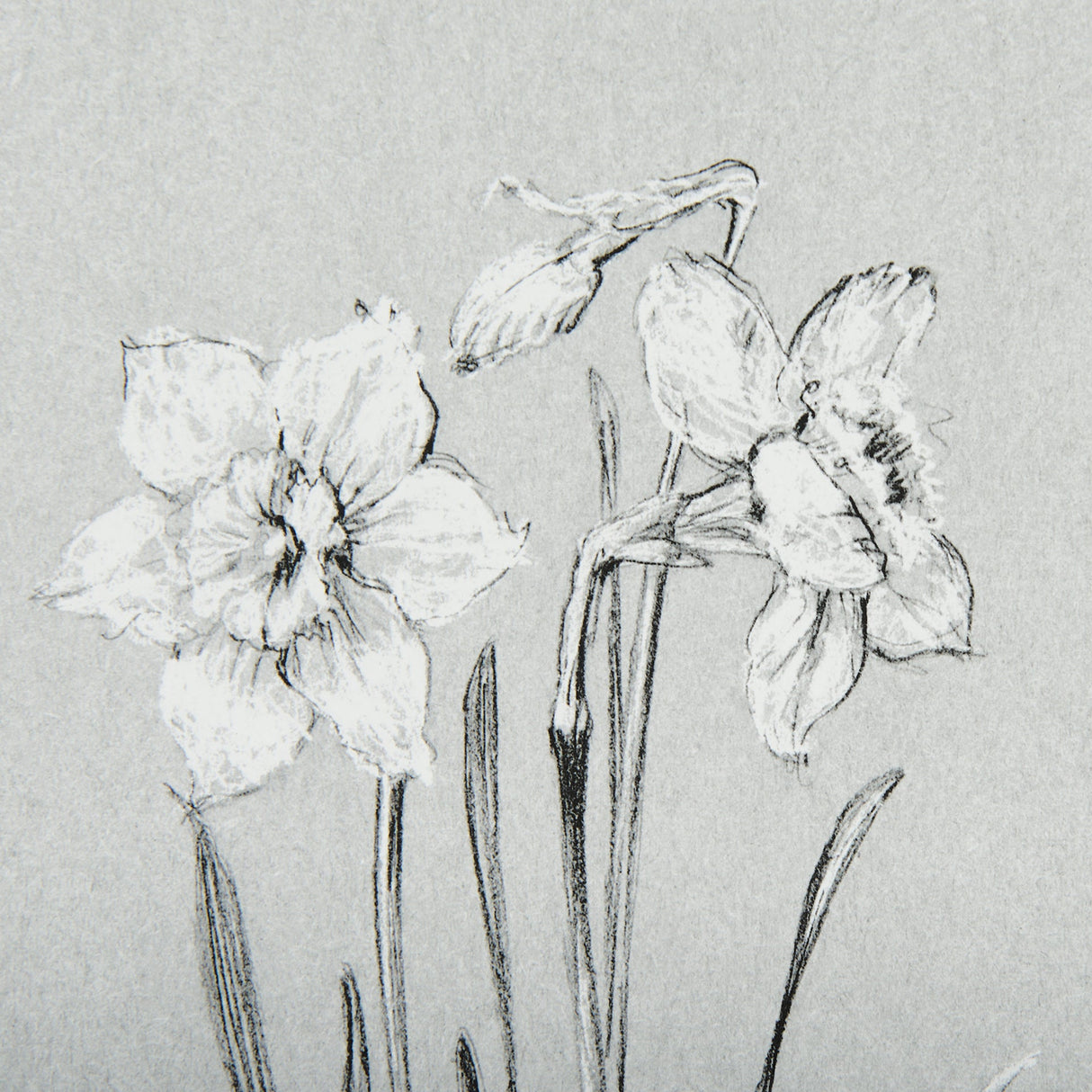 Botanical sketches II (Grey) by Mercana Studio Hand Embellished Framed Art Print Matted under Glass by Mercana at Eve Furniture