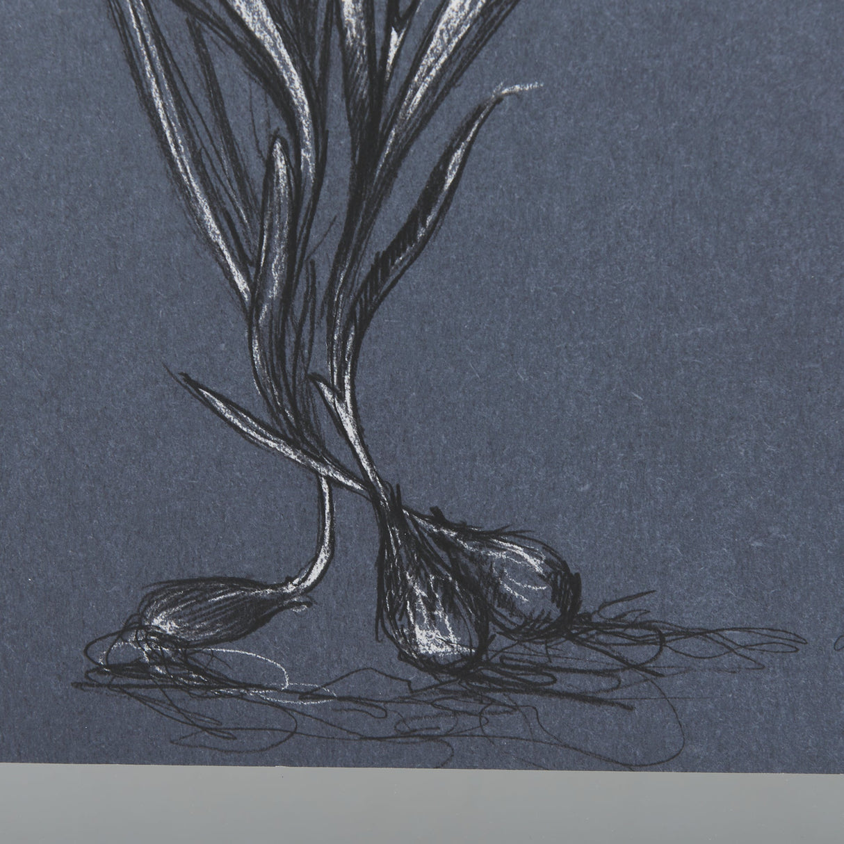 Botanical sketches III (Blue) by Mercana Studio Hand Embellished Framed Art Print Matted under Glass by Mercana at Eve Furniture