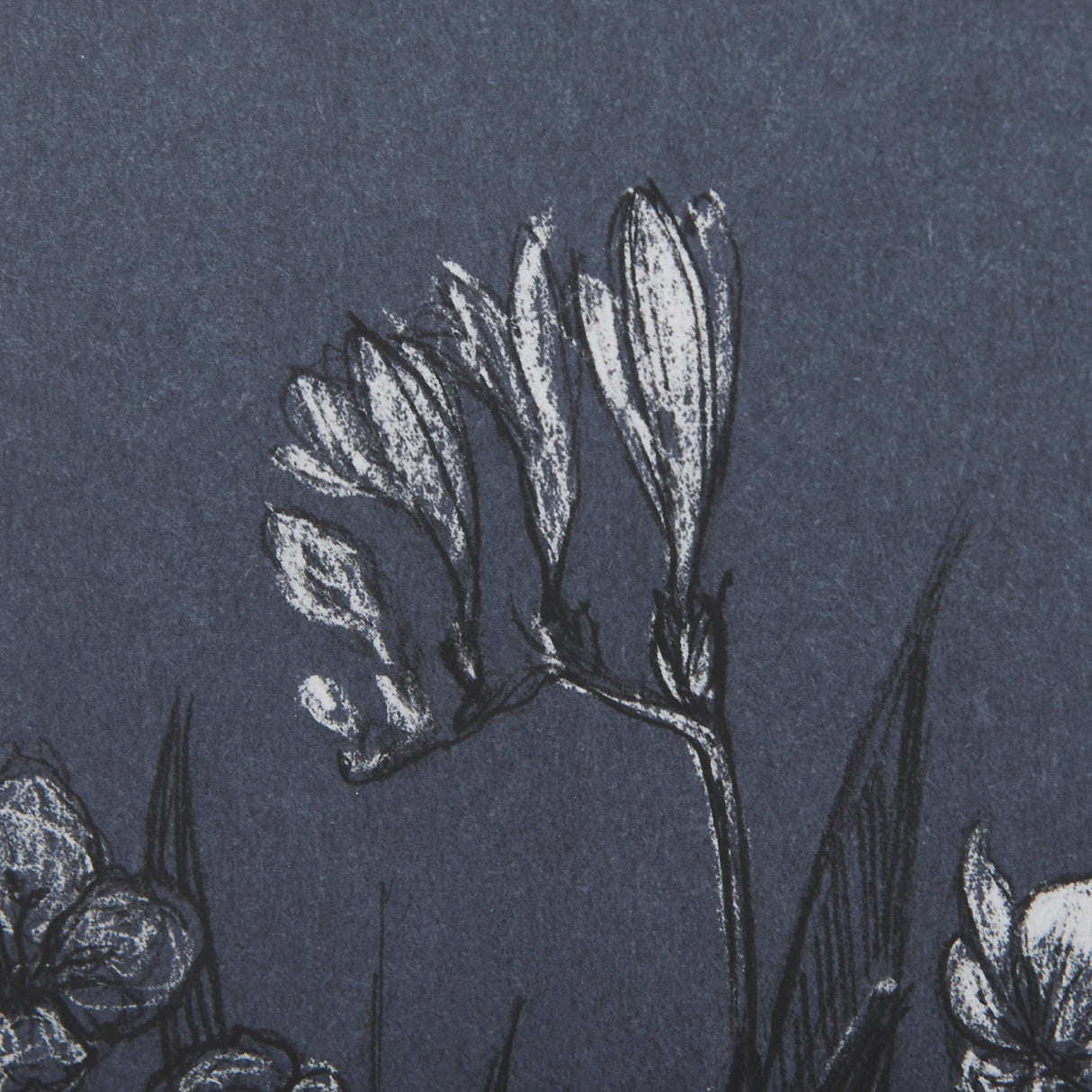 Botanical sketches III (Blue) by Mercana Studio Hand Embellished Framed Art Print Matted under Glass by Mercana at Eve Furniture