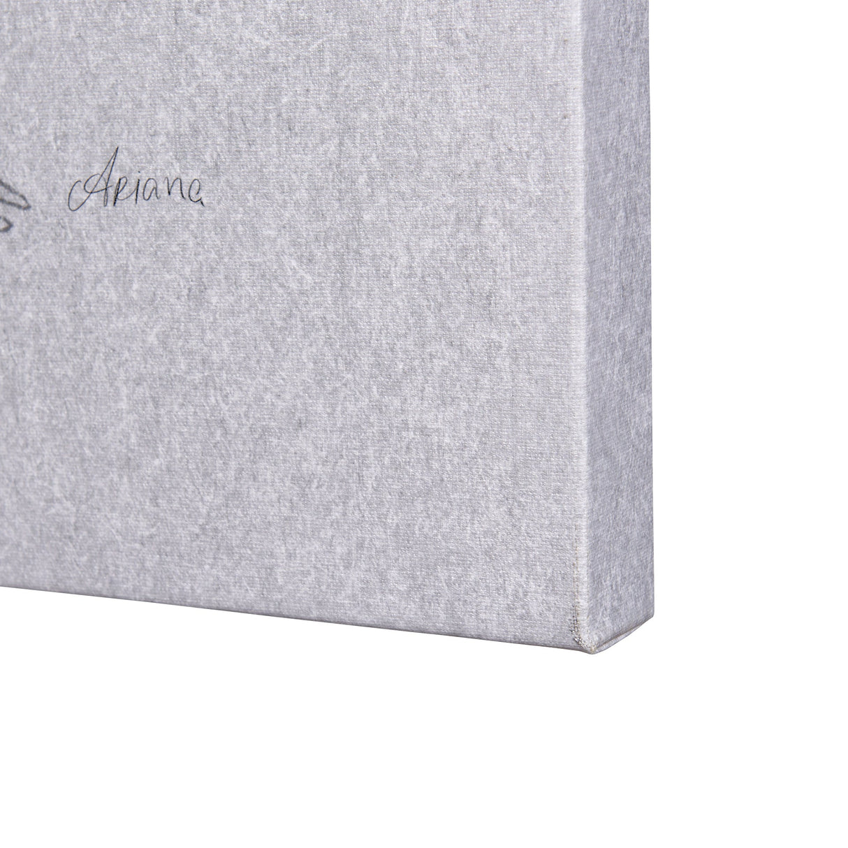 Botanical sketches III (Grey) by Mercana Studio a Hand Embellished Textured Canvas by Mercana at Eve Furniture
