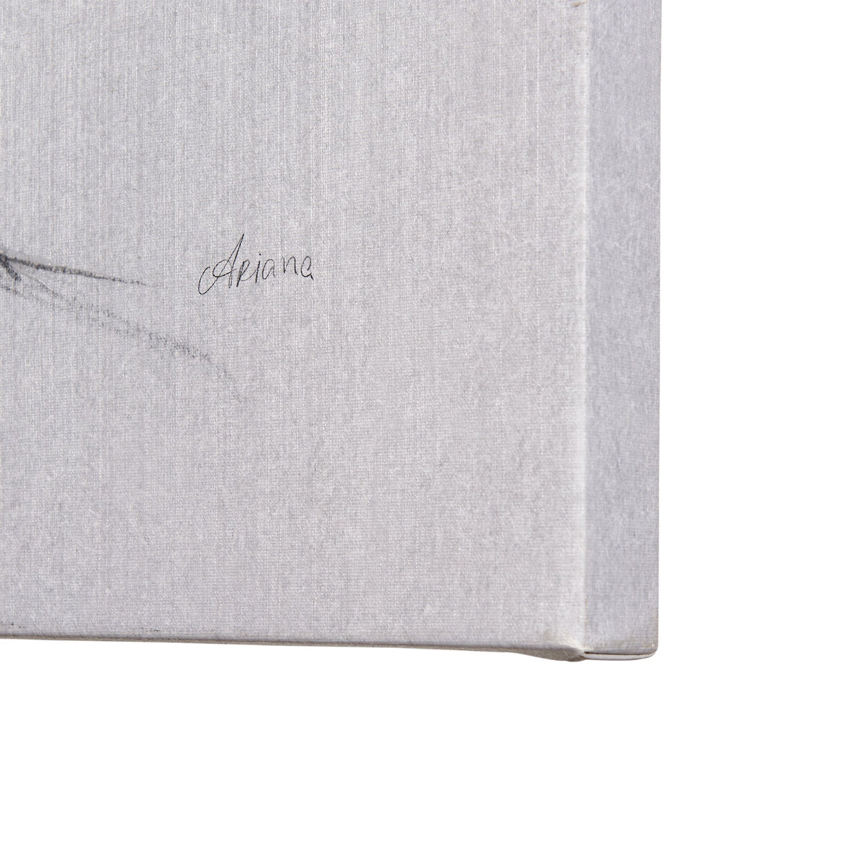 Botanical sketches IV (Grey) by Mercana Studio a Hand Embellished Textured Canvas by Mercana at Eve Furniture