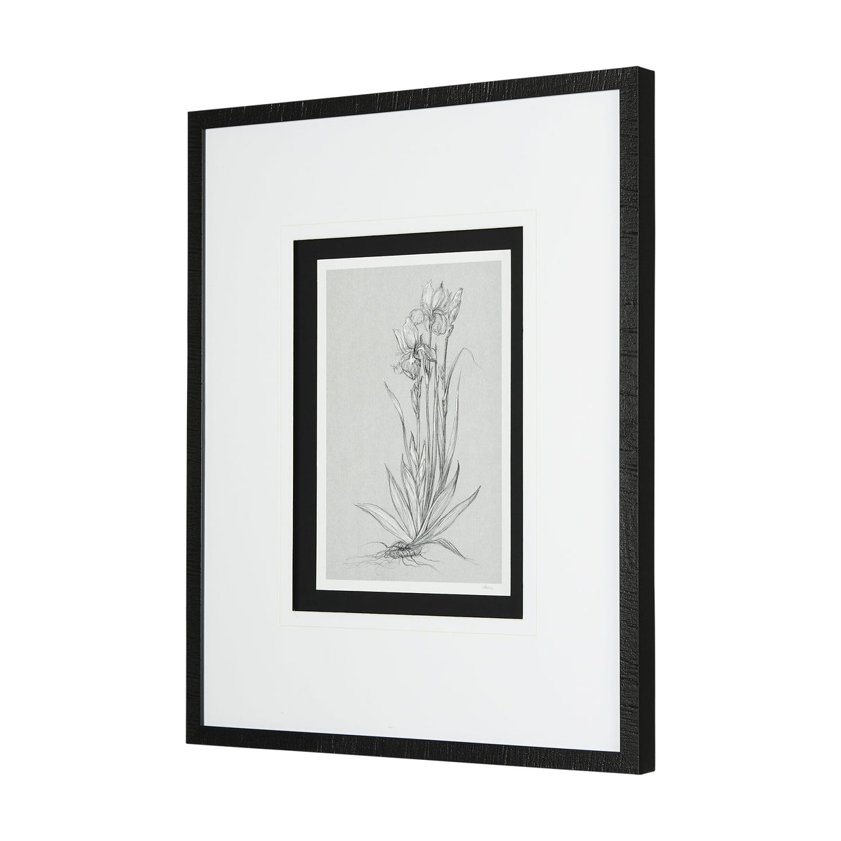 Botanical sketches IV (Grey) by Mercana Studio Hand Embellished Framed Art Print Matted under Glass by Mercana at Eve Furniture