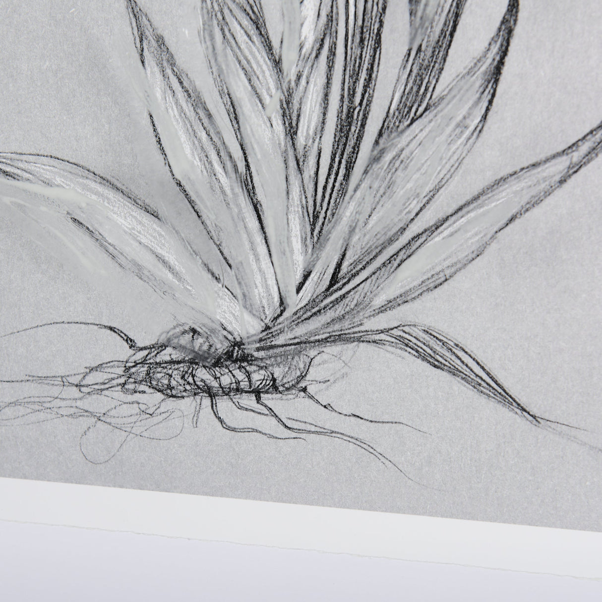 Botanical sketches IV (Grey) by Mercana Studio Hand Embellished Framed Art Print Matted under Glass by Mercana at Eve Furniture