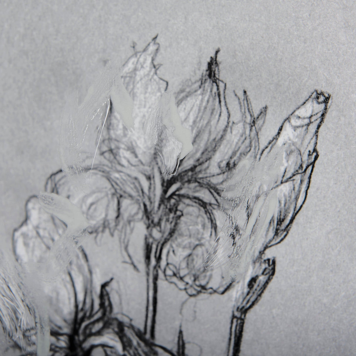 Botanical sketches IV (Grey) by Mercana Studio Hand Embellished Framed Art Print Matted under Glass by Mercana at Eve Furniture