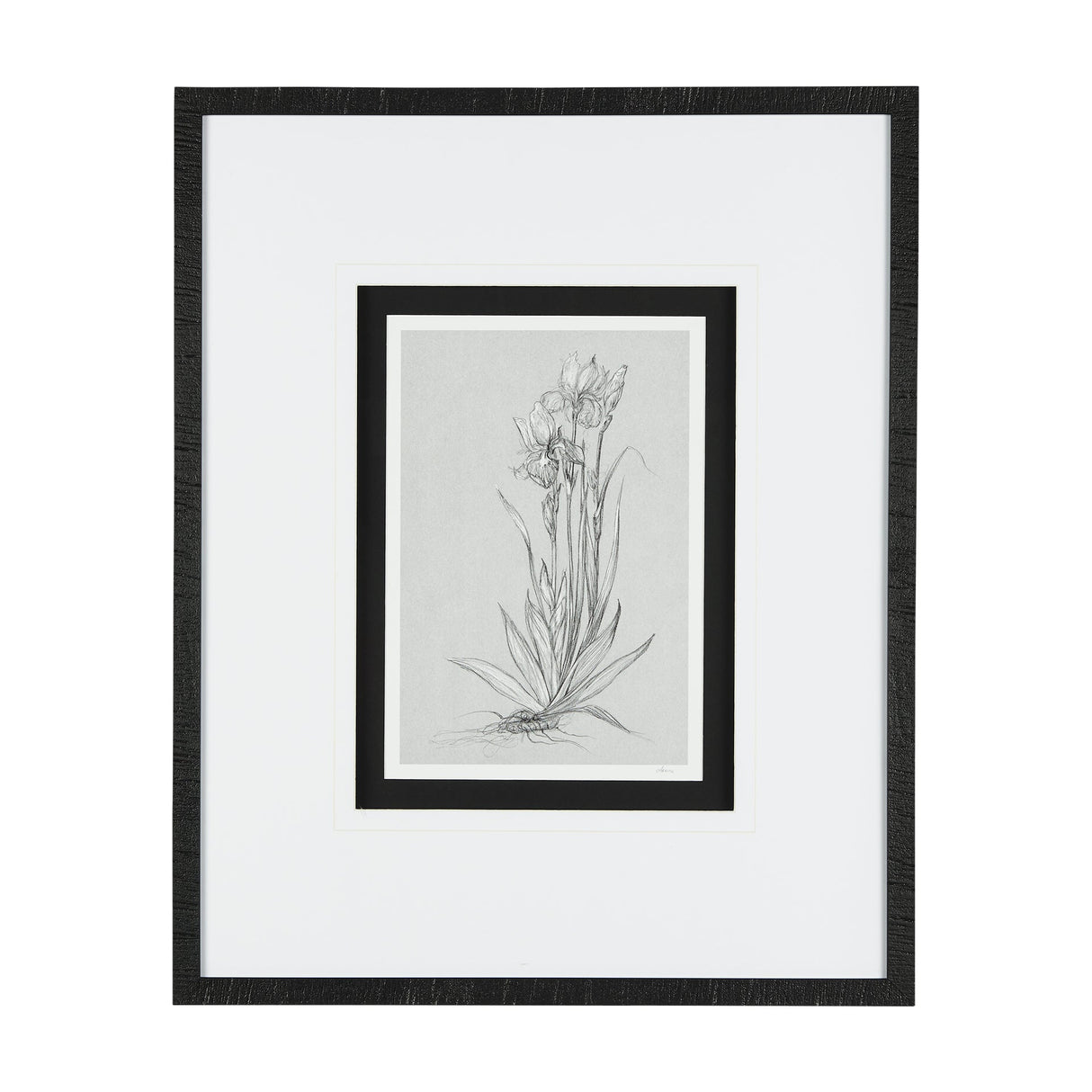 Botanical sketches IV (Grey) by Mercana Studio Hand Embellished Framed Art Print Matted under Glass by Mercana at Eve Furniture