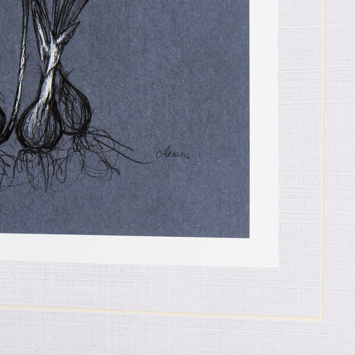 Botanical sketches V (Blue) by Mercana Studio Hand Embellished Framed Art Print Matted under Glass by Mercana at Eve Furniture