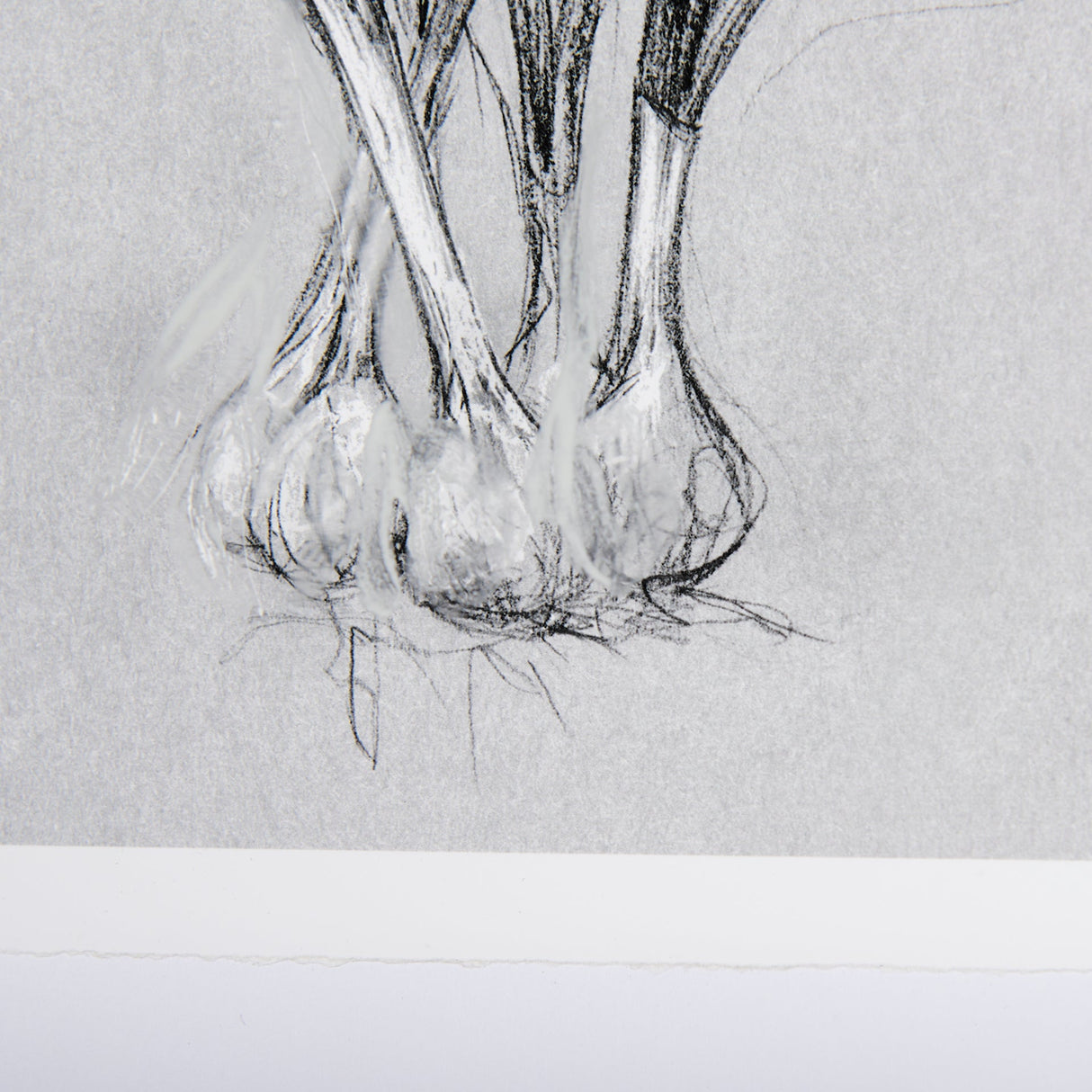 Botanical sketches VI (Grey) by Mercana Studio Hand Embellished Framed Art Print Matted under Glass by Mercana at Eve Furniture