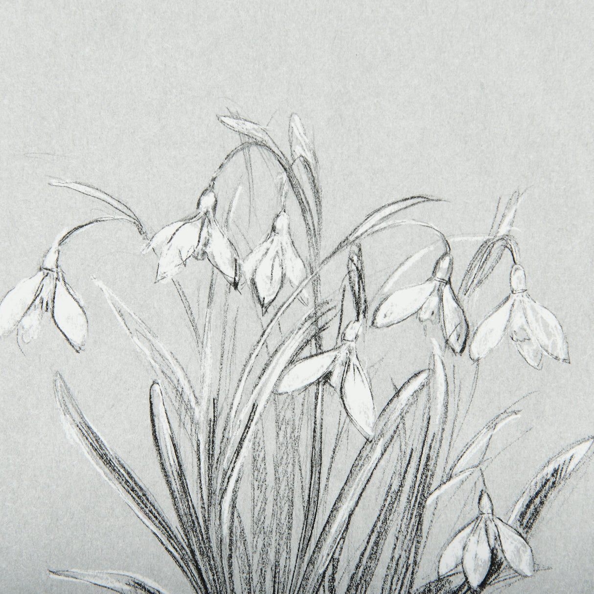 Botanical sketches VI (Grey) by Mercana Studio Hand Embellished Framed Art Print Matted under Glass by Mercana at Eve Furniture