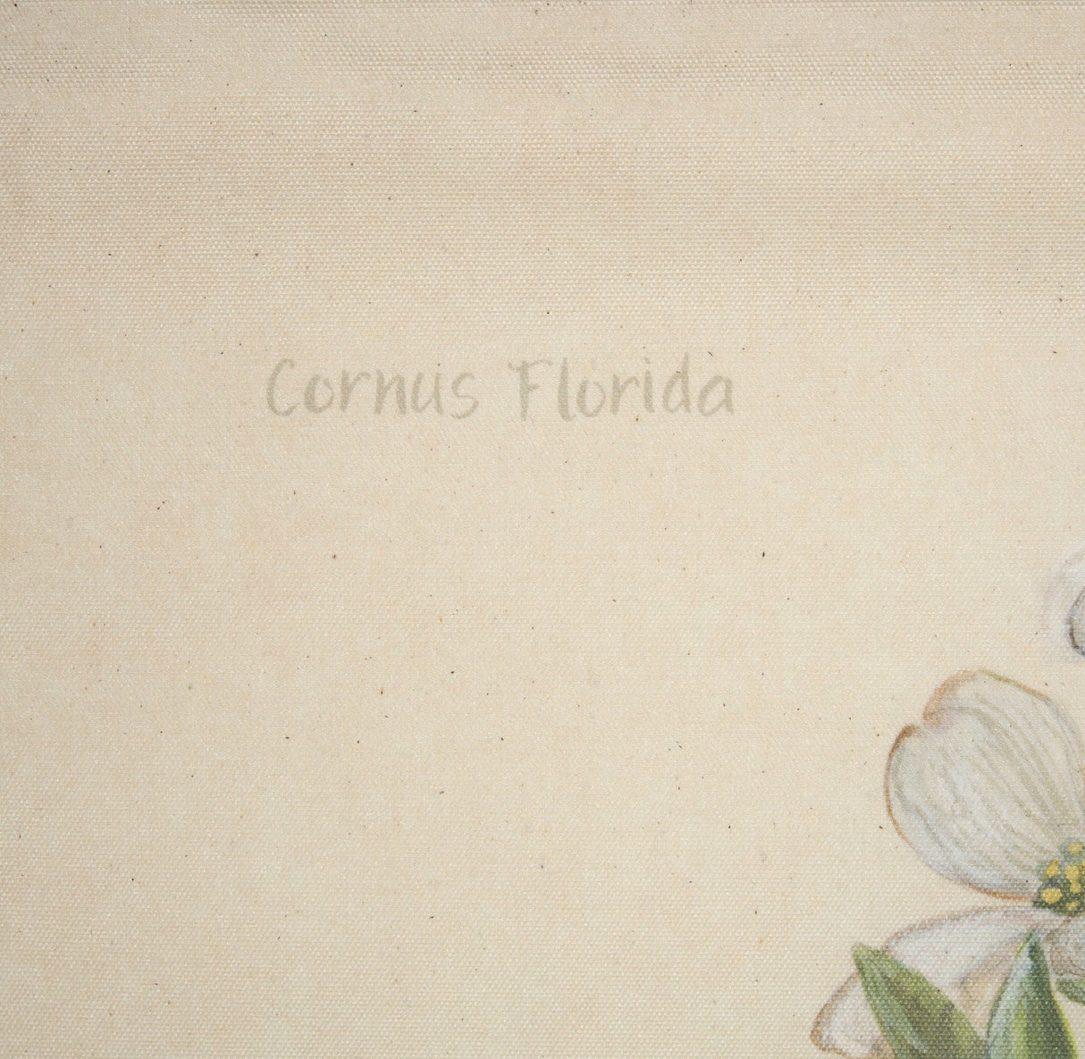 Botanical Study-Cornus Florida by Mercana Studio a Hand Embelished Textured Framed Art Print by Mercana at Eve Furniture