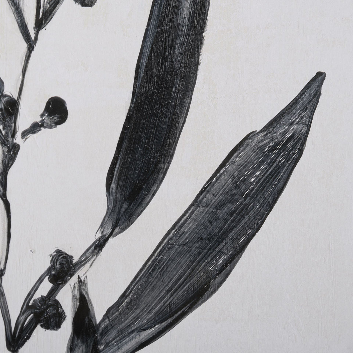Botanical Study I by Julia Purinton a Hand Embellished Textured Framed Art Print Matted under Glass by Mercana at Eve Furniture